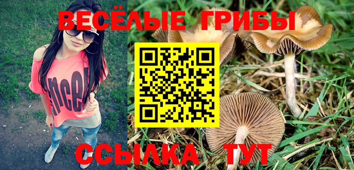 Медногорск  Галлюциногенные грибы GOLDEN TEACHER  Вход с VPN 